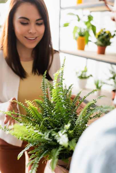 Glimlachende klant kijkt naar plant in de hand van bloemist in bloemenwinkel  - Foto, afbeelding