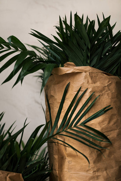 A vertical shot of a green plant with sharp pointed leaves wrapped in a brown paper - Foto, Imagem
