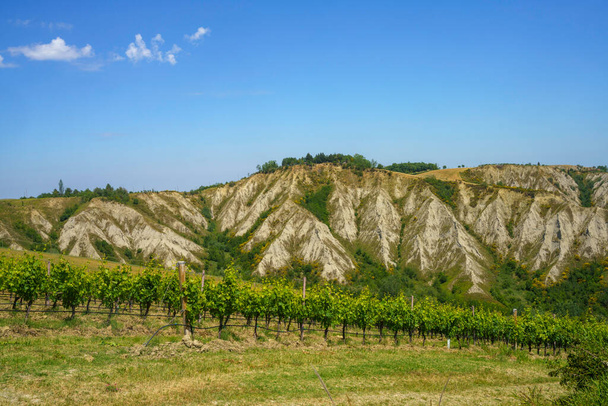 Krajina na kopcích v provincii Boloň, Emilia-Romagna, Itálie, v blízkosti Imoly a Riolo Terme, na jaře. Vinice a kalanque - Fotografie, Obrázek