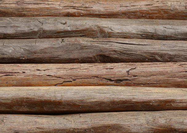 wood logs for industry - Fotografie, Obrázek