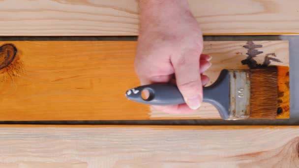 Técnicamente, el pintor aplica una mancha de madera en la tabla de madera recién cepillada con un punto con un pincel en el fondo del taller. Trabajo artesano de madera profesional de precisión lenta. Primer plano. Vista superior - Metraje, vídeo