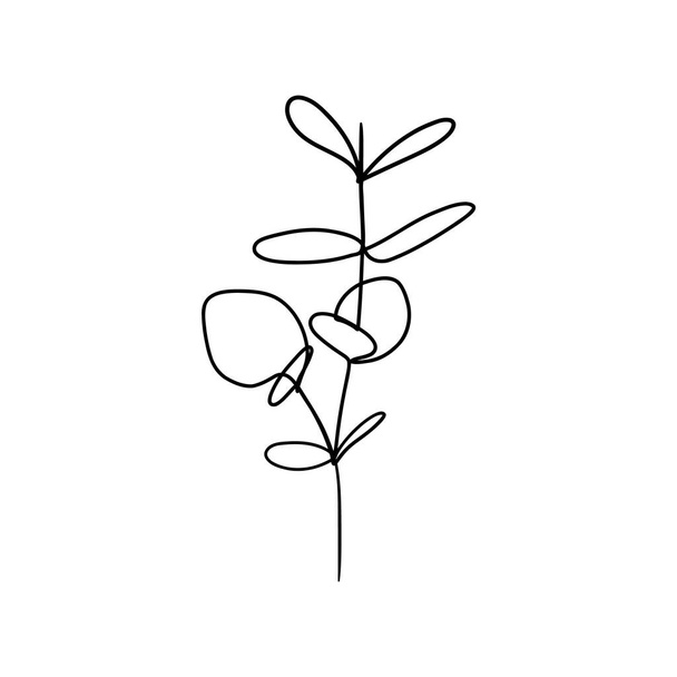 Ramo floral botânico. Abstract desenho contínuo de uma linha, folhagem de ervas orgânicas. Ilustração vetorial - Vetor, Imagem
