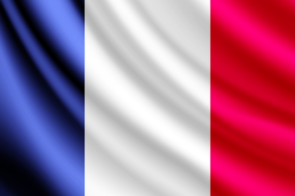 フランスの旗を振って、ベクトルします。 - ベクター画像
