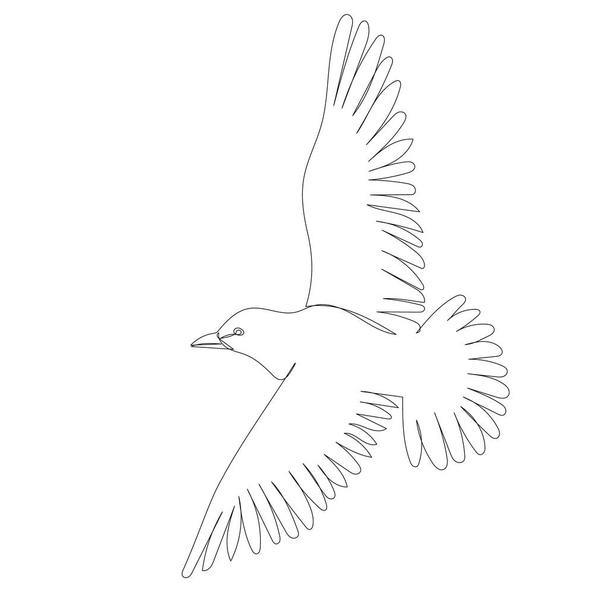 sketch bird flying line drawing, vector - Вектор, зображення