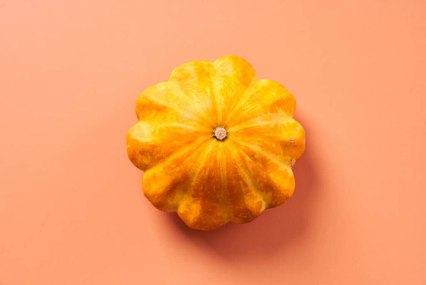 Small pumpkin on an orange background. - Photo, Image