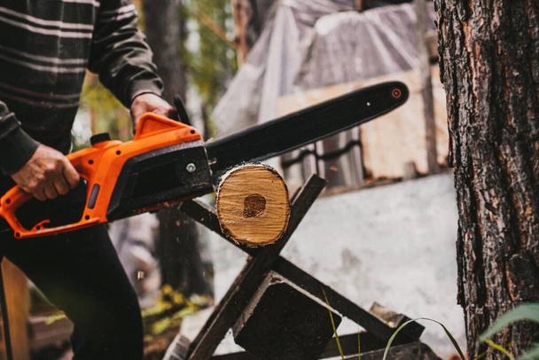 Man sawing a birch trunk with a chainsaw in the forest. - Photo, Image