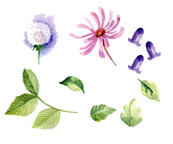 set of watercolor flowers and leaves stickers - Φωτογραφία, εικόνα
