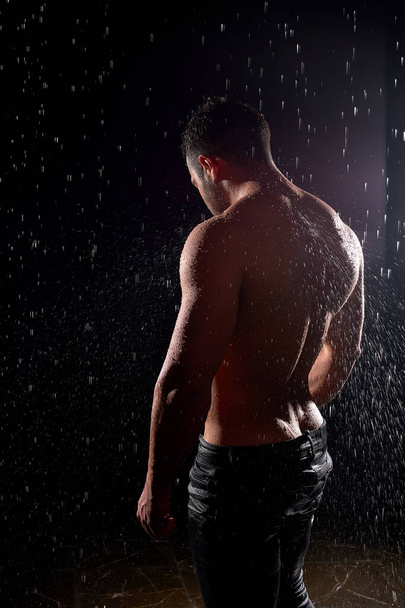 Rear view on sexy muscular athletic man with strong body, showing muscular back - 写真・画像