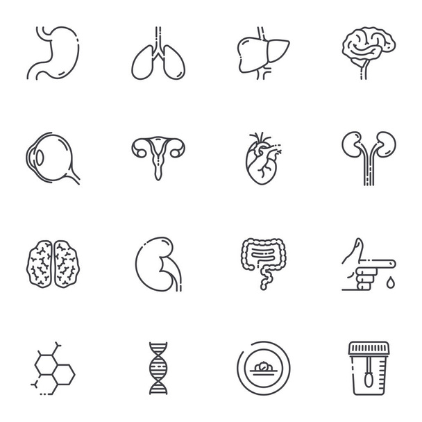 Set of vector Healthcare and medical line icons isolated on white transparent background. Internal organ symbols - Vector, Image