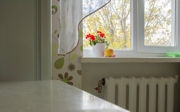 konyha a lakásban, kilátással az ablakra. egy tál muskátli és alma az ablakon. - Fotó, kép