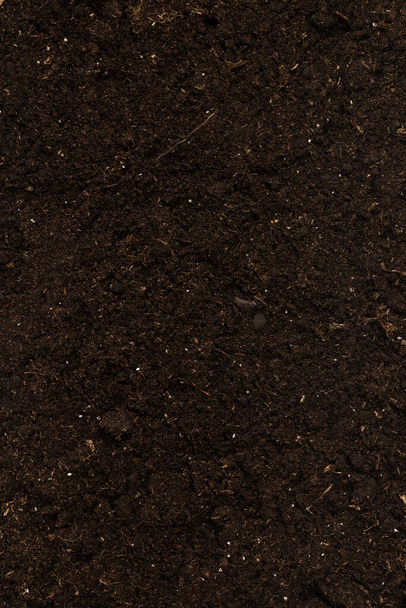 Soil for plant isolated on white background. Soil pattern. - Φωτογραφία, εικόνα