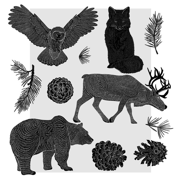Orman hayvanları gri arka planda çizgilerle çizilmiş. Baykuş, ayı, tilki ve geyik. Kartpostallar, ambalajlar veya tekstil için elverişli. - Vektör, Görsel