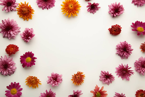 Pink flowers on white paper background. Flower composition. - Foto, Imagem