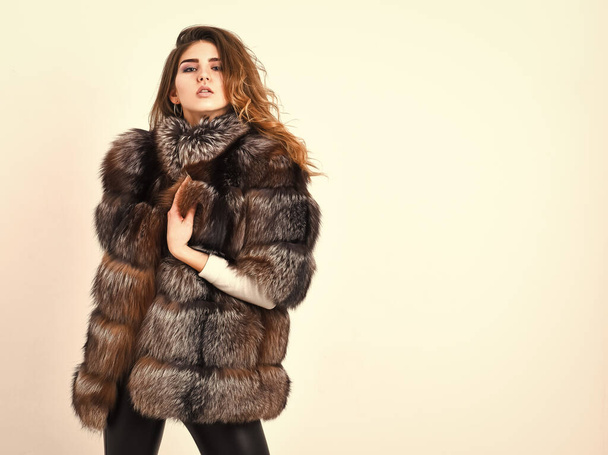 Fur store model enjoy warm in soft fluffy coat with collar. Fur fashion concept. Winter elite luxury clothes. Woman makeup and hairstyle posing mink or sable fur coat. Female brown fur coat - Photo, Image