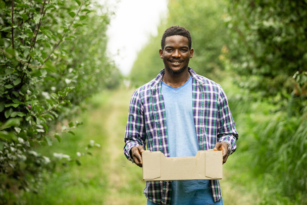 Satisfied farmer holding wooden box with crop - Photo, Image