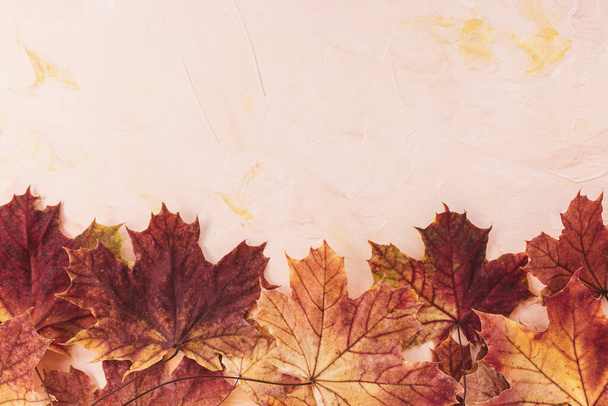 Maple leaves on pink background Autumn mood - Photo, Image