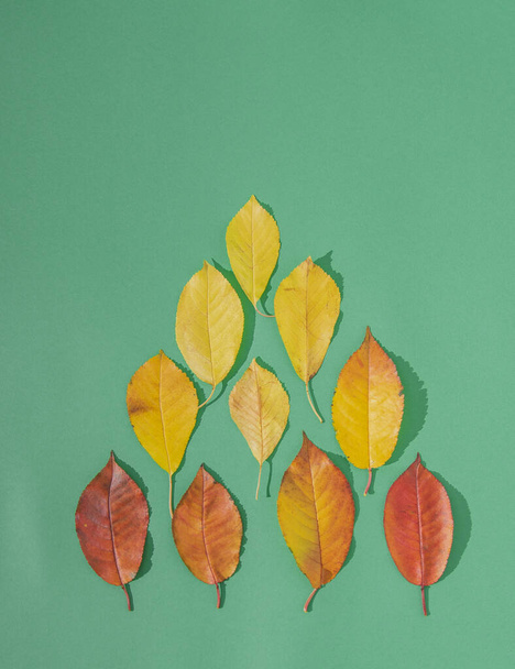 自然の中で秋を表す平らなレイアウトで緑の背景に黄色と赤の葉 - 写真・画像