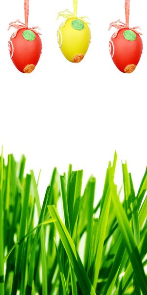 Uova di Pasqua ed erba verde
 - Foto, immagini