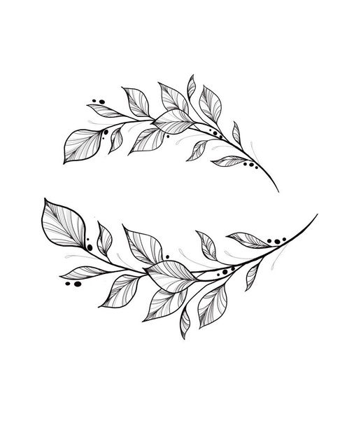 Botanie tatoeage schets - mooie twijgplant. Botanische element sjabloon voor grafisch ontwerp, bruiloft decor, textiel, souvenir cadeau, briefpapier print - Foto, afbeelding