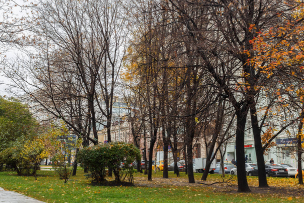 Moscow, Russia, Oct 15, 2021: Late autumn near Triumphalnaya square (Garden ring). Yellow leaves - Zdjęcie, obraz