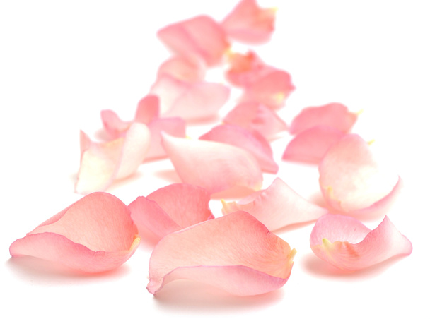rózsaszirmok - Fotó, kép