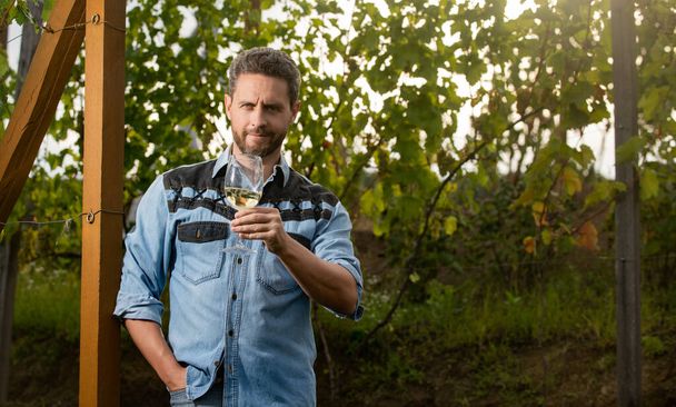 pozitif bağcıkçı erkek çiftçi üzüm çiftliğinde şarap içer, fotokopi alanı, şarap yetiştiricisi - Fotoğraf, Görsel