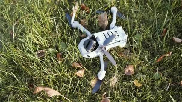 Eine moderne Drohne stürzte nach einem Vogelangriff auf einen grünen Rasen. - Filmmaterial, Video