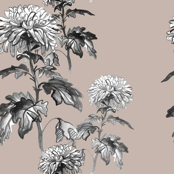 Black ad white Chrysanthemum flowers isolated in monochrome tones. - Fotografie, Obrázek