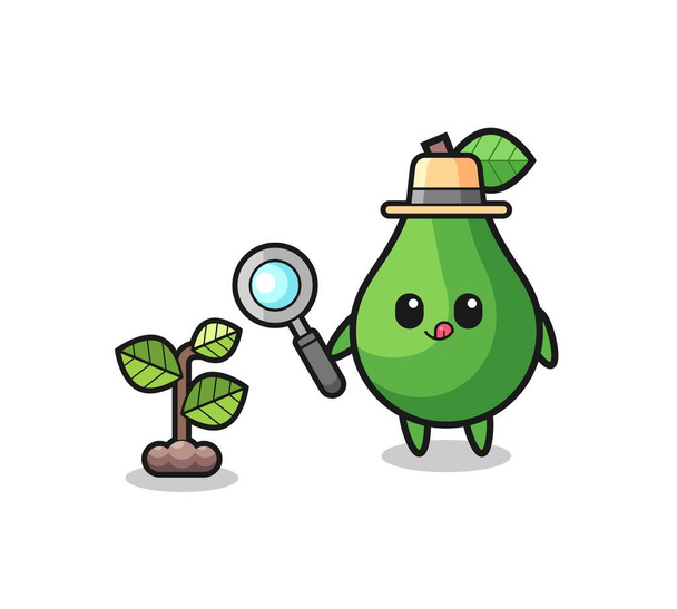 cute avocado herbalist researching a plants , cute design - Vector, Image
