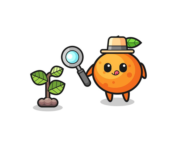 cute mandarin orange herbalist researching a plants , cute design - Vector, Image
