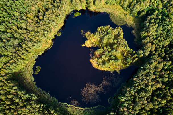 Widok z dużej wysokości do pięknego jeziora w środku zielonego lasu, jezioro w miejscu dawnego wydobycia torfu - Zdjęcie, obraz