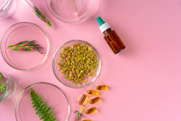 Herbs and Herbal dietary supplements top view on pink background - Photo, Image