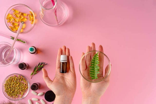 Herbs and Herbal dietary supplements top view on pink background - 写真・画像