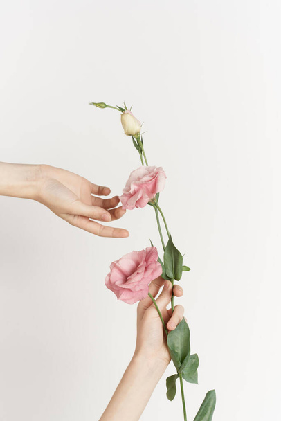 bouquet of flowers in hands close-up light background decoration beauty - Foto, Imagem