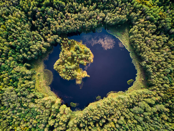 A view from a great height to a beautiful lake in the middle of a green forest, a lake on the site of the former peat mining - Fotografie, Obrázek