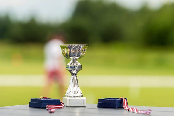 sports game prizes - cup and medals on the background of a defocused croquet court, closeup - Фото, изображение
