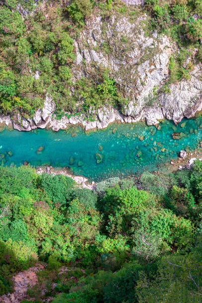  Widok na górską rzekę. Rzeka Tara w Czarnogórze - Zdjęcie, obraz