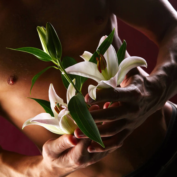 close-up of white lily in the hands against the background of a naked torso on dark background studio - Фото, зображення