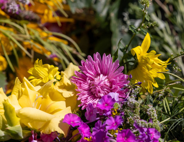 Tradycyjny bukiet kwiatów, ziół i owoców, które są symbolem lata  - Zdjęcie, obraz