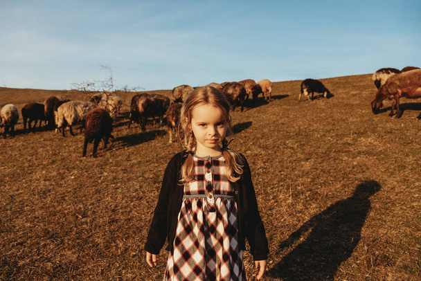 Cute little girl with braids walking in the fields with sheep - Photo, Image