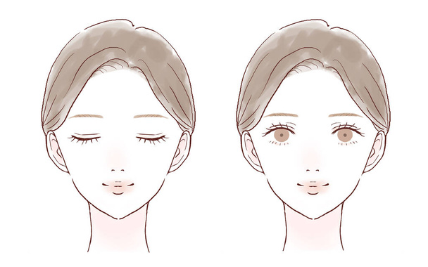 Two types of female faces. Skin care image. On white background. - Vector, Image