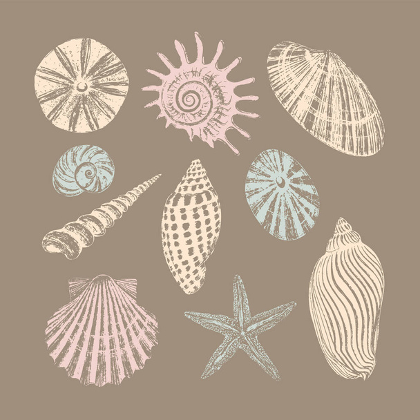 Set of ten seashells. Black ink brush texture. - Vector, afbeelding