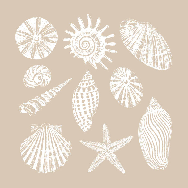 Set of ten seashells. Black ink brush texture. - Vector, Image