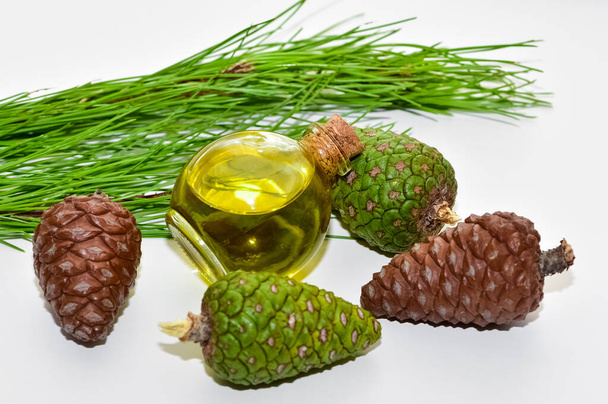 photos of pine cones and pine oil. - Photo, Image