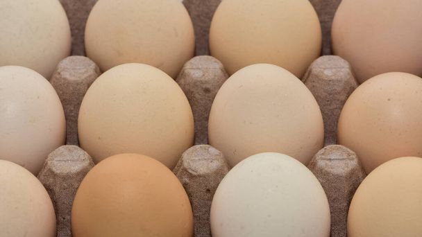 ζωικά προϊόντα, καφέ αυγά κοτόπουλου. - Φωτογραφία, εικόνα