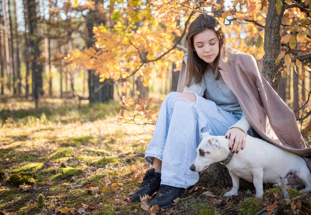 Beautiful Young Girl With Her Dog In The Forest. Autumn forest.  - Photo, Image