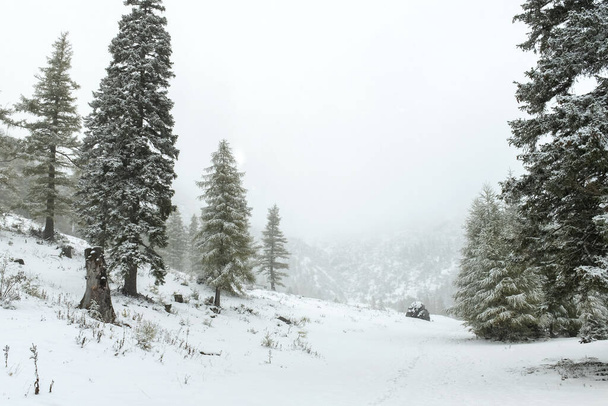 winter landscape Austria Niedersterreich - Photo, Image