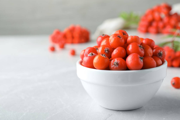 Fresh ripe rowan berries in bowl on light table, closeup. Space for text - Φωτογραφία, εικόνα