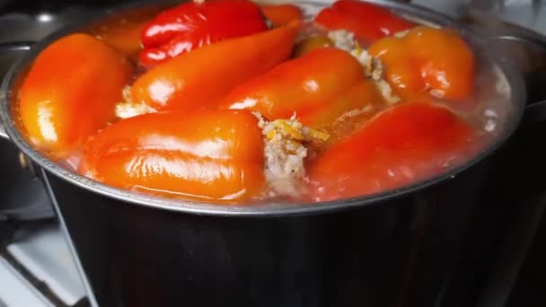 Фаршированный перец в открытой кастрюле во время приготовления - Кадры, видео