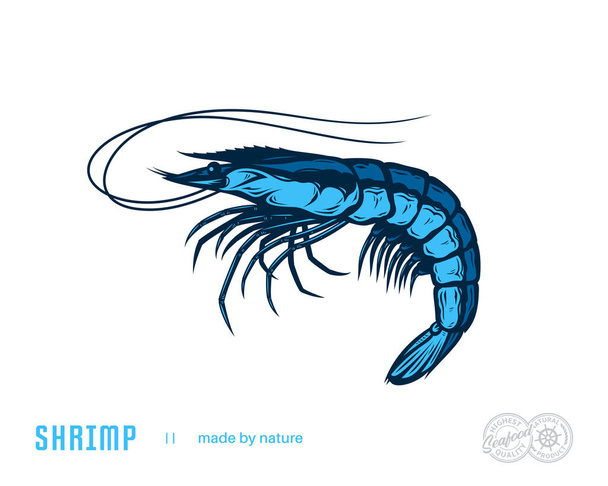 Vector shrimp flat style illustration. Seafood icon isolated on a white bkackground - Vector, Image